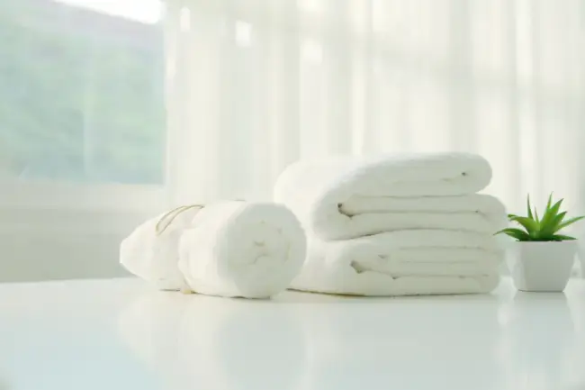 https://coastalwipers.com/hubfs/best%20salon%20towels%20%281%29.webp